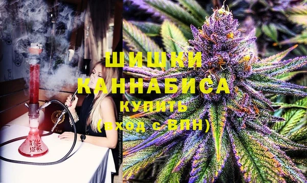 шишки Вязьма