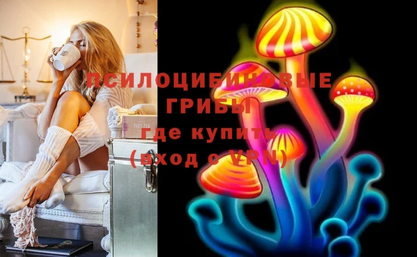 ALPHA-PVP Вяземский
